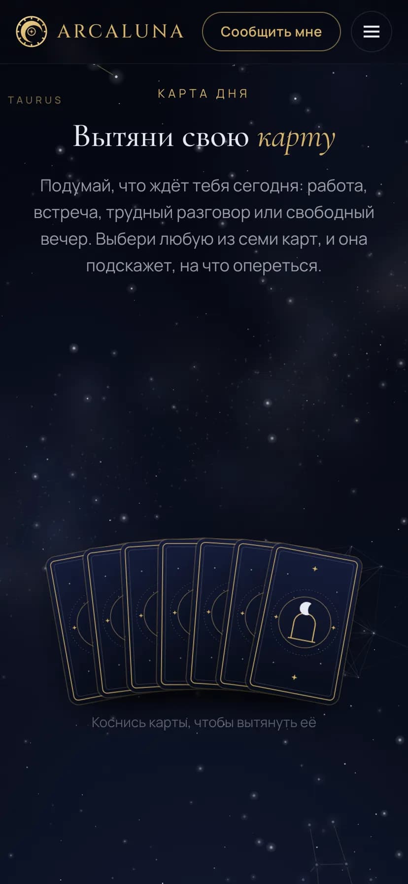 ArcaLuna screenshot 2